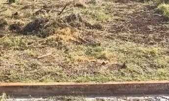 Imagem 3: Vendo terreno 10x20 em nova Iracemápolis de frente com a gwm