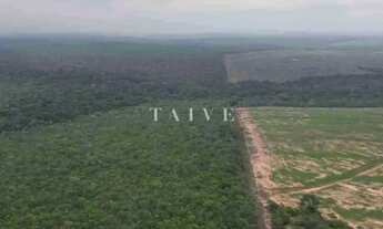 Imagem 3: Fazenda 3000 hectares à venda , área plana, casa sede, barracão, poço artesiano, internet