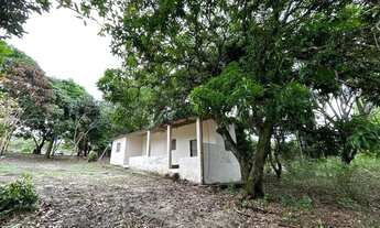 Imagem 3: Chácara a venda 5.800 m2 / Árvores frutiferas e agua