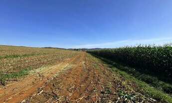 Imagem 5: Fazenda a venda - Pontalina - GO