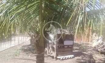 Imagem 2: CASA NA REGIAO DO CRISTO REI SENDO VENDIDA POR PREÇO DE OCASIÃO codigo: 107067