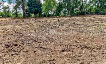 Imagem 2: Vendas Terreno Almirante Tamandaré PR