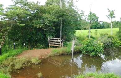 Imagem 2: Vendo Faz de 42 alqueires Porangatu