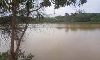 Imagem: Lotes no asfalto bairro paraíso