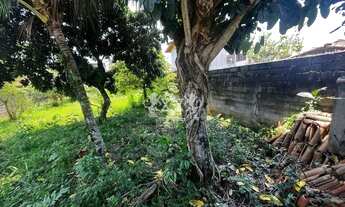 Imagem 3: Terreno à venda, Prainha, Caraguatatuba, SP