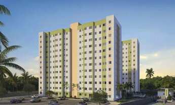 Imagem: ESTRELA DO MAR MAIS VIVER 6739