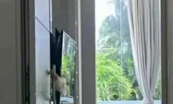 Imagem 7: Imóvel para aluguel e venda com 961 metros quadrados com 4 quartos