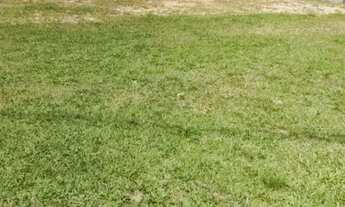 Imagem 5: TERRENO EM CONDOMÍNIO - TANQUINHO - SP