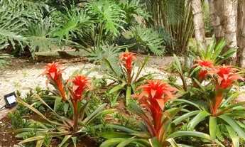 Imagem 4: Casa para venda em RURAL de 600.00m² com 3 Quartos e 1 Suite