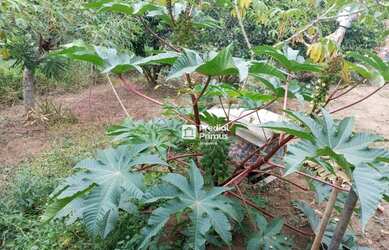 Imagem 5: Casa à venda, 200 m² por R$ 380.000,00 - São Geraldo - Nova Friburgo/RJ