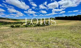 Imagem 6: 86C- TERRENOS EM COTIA COM ÓTIMAS CONDIÇÕES!