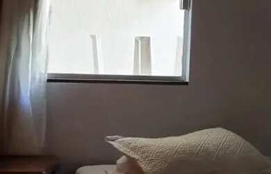 Imagem 6: Casa Setor Campinas 416m²