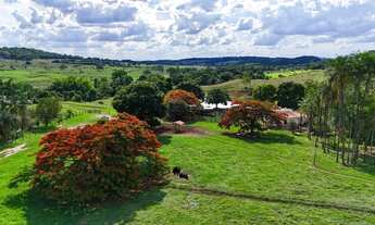 Imagem 2: Fazenda 48 Alqueires Cultura!