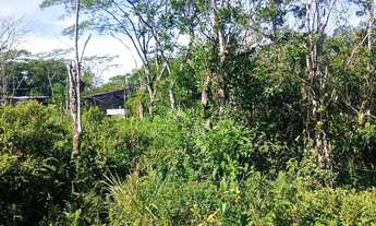 Imagem 4: Curva do S praia grande 35