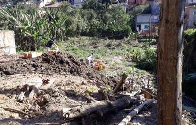 Imagem 7: Lote em Rua Maritaca - Recreio da Borda do Campo - Santo André/SP