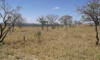 Imagem 6: Área de 20.000 m² toda plana com uma casa simples cercada. WhTSApp * Guilherme