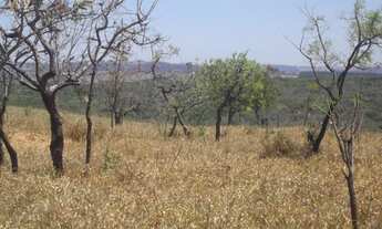 Imagem 7: Área de 20.000 m² toda plana com uma casa simples cercada. WhTSApp * Guilherme