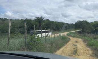 Imagem 7: Vitória Sítio 3 Ha Com Muitas FruteiraS - Vl 90 Mil