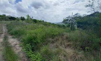 Imagem 5: Vitória Sítio 3 Ha Com Muitas FruteiraS - Vl 90 Mil