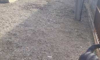 Imagem 2: Ótima localização