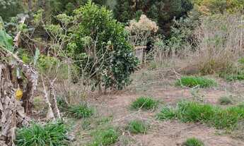 Imagem 3: VENDE-SE CASINHA NA ROÇA/ACEITAMOS CARRO COMO PARTE DO VALOR