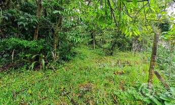 Imagem 5: Lote/Terreno para venda com 550 metros quadrados em Pantanal - Florianópolis - SC