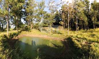 Imagem 3: Sitio 9.84 Alq. Com Estrutura de Produção Integrada