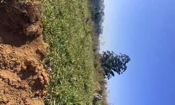 Imagem 4: R5- Promoção imperdível Imóvel para venda com 600 metros quadrados em Igarata