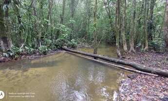 Imagem 7: R$ 960 mil reais 137 Hectares com 50 Hectares de dendê