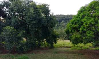 Imagem 7: Sítio, Chácara a Venda com 19.000 m² com 4 quartos Bairro Rio Bonito 8km Cidade - Porangab