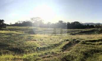 Imagem 2: Sitio 9.84 Alq. Com Estrutura de Produção Integrada