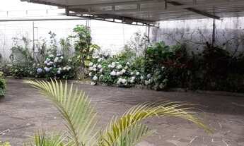 Imagem 5: Casa em Auxiliadora