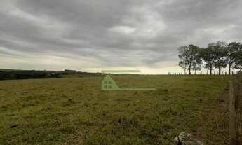 Imagem 2: Sítio com 2 dormitórios à venda, 193600 m² por R$ 2.980.000,00 - Zona Rural - Cerquilho/SP
