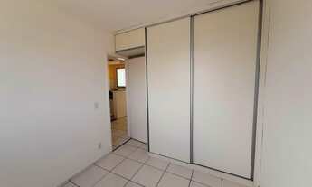 Imagem 5: CONTAGEM - Padrão - Bom Jesus