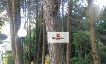 Imagem 6: Apartamento à venda, 53 m² por R$ 210.000,00 - Santa Terezinha - São Bernardo do Campo/SP