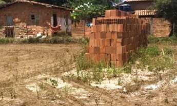 Imagem 4: Terreno bom para condomínio já murado