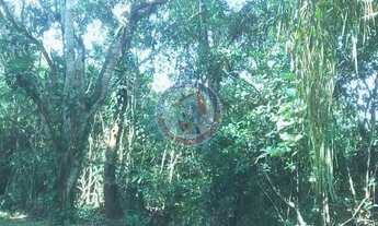 Imagem 7: Chácara à venda 5000M², San Marcos, Itanhaém - SP