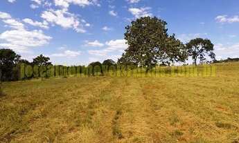 Imagem 4: Sítio 2,46 hectares, plano, energia, poço, Monte Alegre de Minas MG
