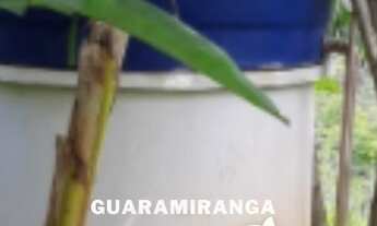 Imagem 4: Sítio à venda com chalé e vista para as montanhas em Pacoti!