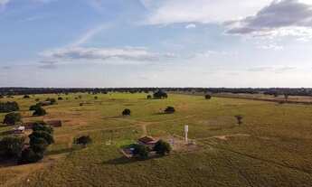 Imagem: Fazenda Dupla Aptidão em Araguapaz - Go
