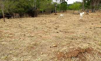 Imagem 5: Venda Terreno Terreno / lote com venda por R$250.000