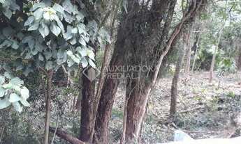 Imagem 2: GAROPABA - Terreno Padrão - Siriu