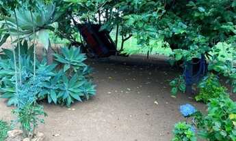 Imagem 6: Chácara Excelente 1,16 Alqueires, Bela Vista de Goiás