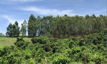 Imagem 2: Fazenda/sítios/chácaras com 1 dormitório à venda em Nepomuceno