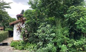 Imagem 7: Casa Térrea, Butantã - São Paulo