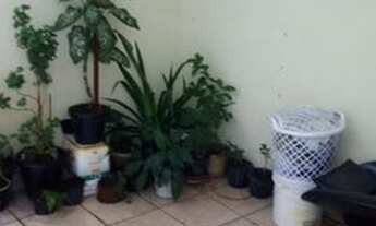 Imagem 6: Casa de 80 metros quadrados no bairro Vila Guaca com 2 quartos