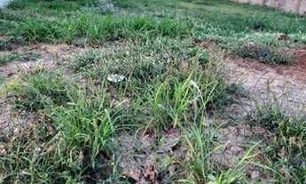 Imagem 2: Terreno em rua - Bairro Parque Residencial Alcântara em Londrina