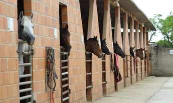 Imagem 2: Haras à venda, 11700 m² por R$ 800.000,00 - Brigadeiro Tobias - Sorocaba/SP