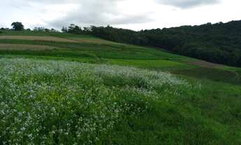 Imagem 6: Terrenos com vistas lindas em Cotia