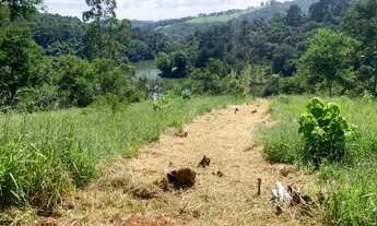 Imagem 3: Terreno direto com dono